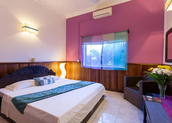 Le Tigre Hotel Siem Reap