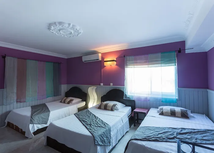 Le Tigre Siem Reap