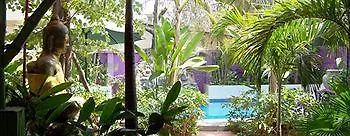 Le Tigre 3* Siem Reap